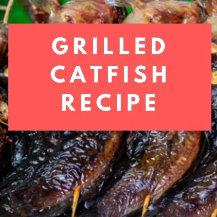 Grilled Catfish Recipe To Try Right Now