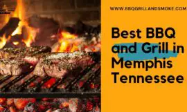 Best BBQ in Memphis, Tennessee (Famous BBQ and Grill Restaurants)