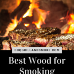 Best Wood for Smoking Brisket