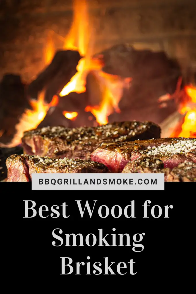 Best Wood for Smoking Brisket