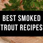 Best Smoked Trout Recipes
