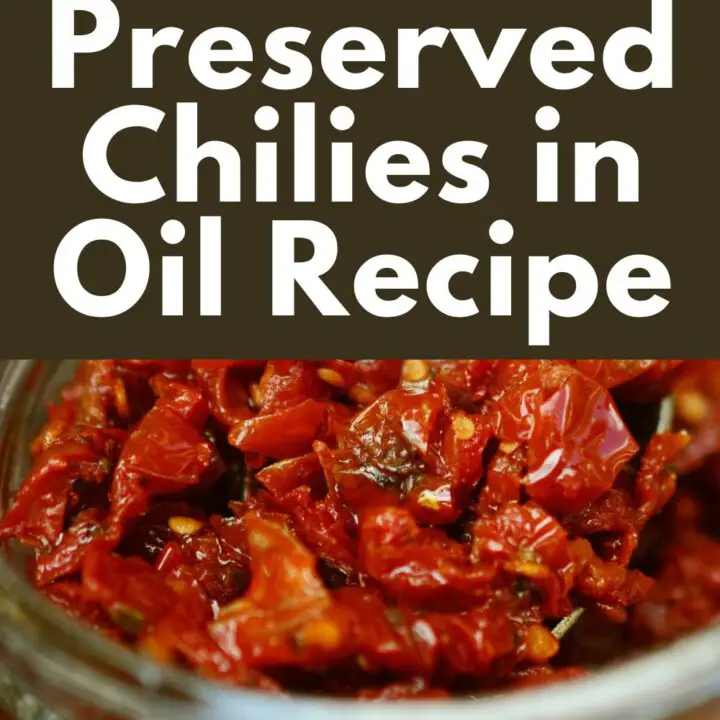 Preserved Chilies in Oil Recipe
