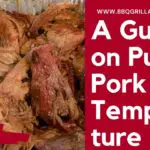 A Guide on Pulled Pork Temperature