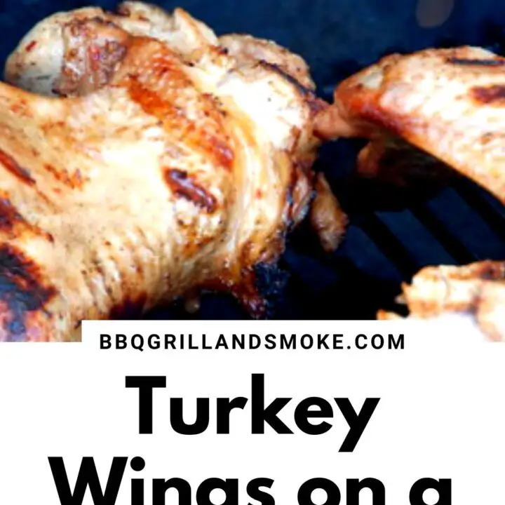 Turkey Wings on a Pellet Grill